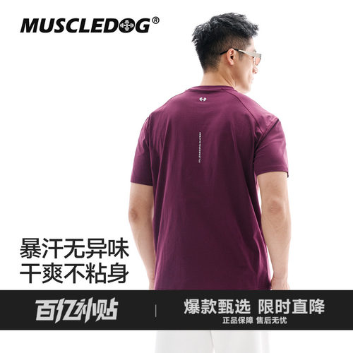 肌肉狗吸湿速干抗菌透气训练短袖