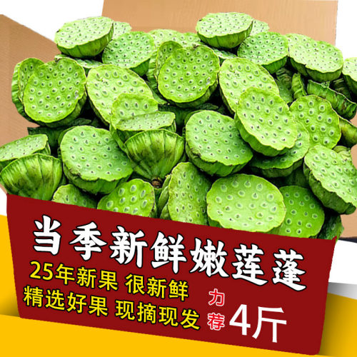 顺丰可选现货新鲜莲蓬现摘莲蓬甜嫩生吃莲蓬孕妇水果即食莲子包邮