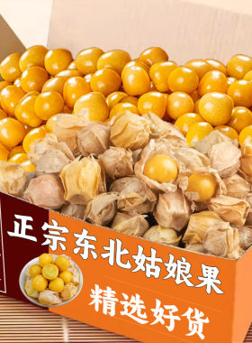 姑娘果特产水果新鲜当季整箱灯笼果黄菇娘洋姑娘果大果甜菇凉包邮