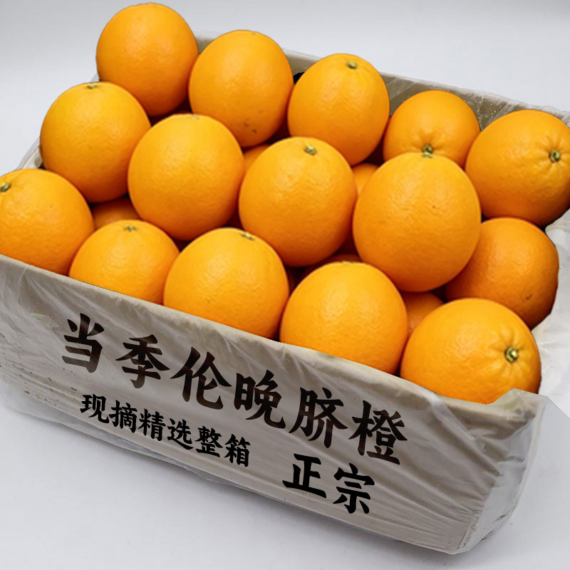 精品正宗秭归伦晚脐橙橙子春橙新鲜当季水果手剥橙甜橙整箱包邮发