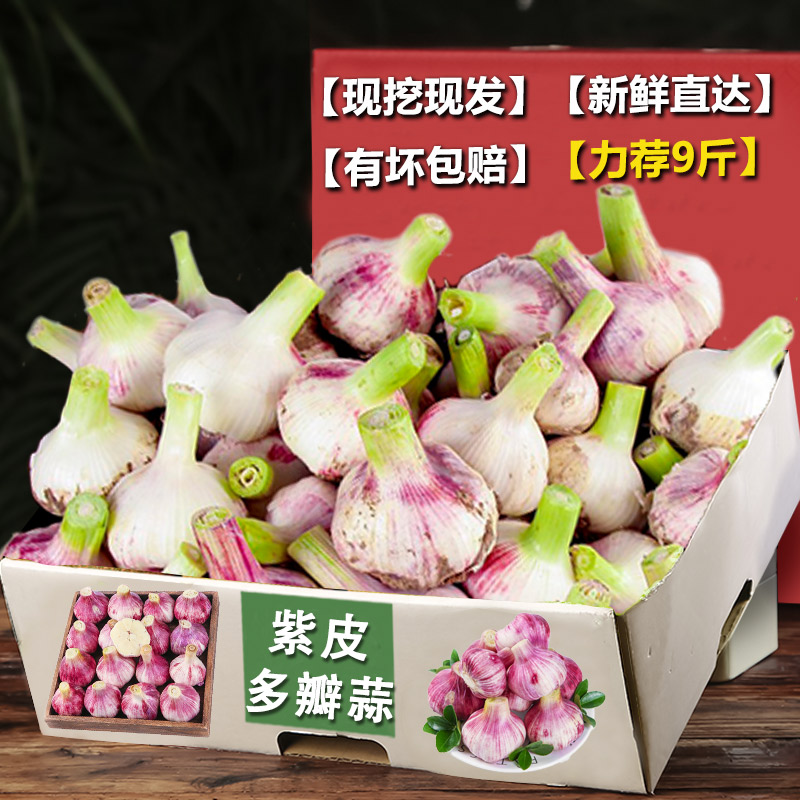 ڲ250g СͷС Ƥ52.7Ԫ
