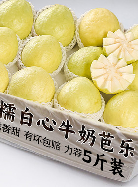 广西软糯奶油芭乐5斤新鲜水果当季软心番石榴鸡屎果白心芭乐包邮3