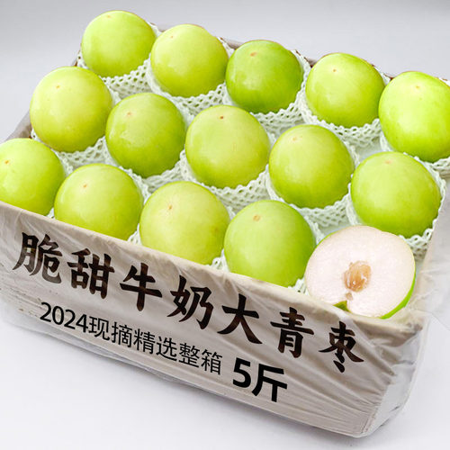 福建牛奶大青枣3斤新鲜枣脆甜蜜