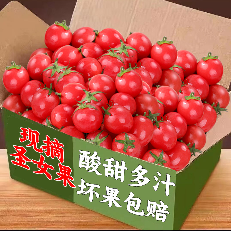 新鲜圣女果新鲜小番茄5斤水果当季蔬菜生吃自然熟孕妇西红柿千禧