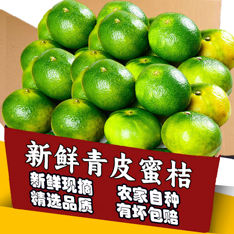 精品云南青皮蜜桔12颗装!特价!