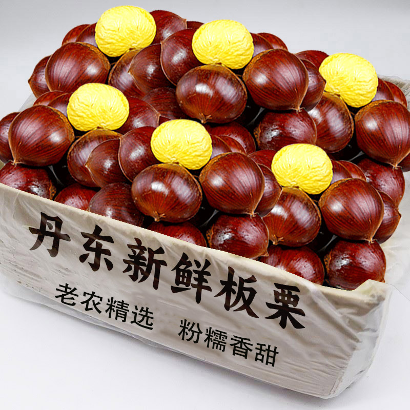 现摘丹东新鲜板栗斤整箱栗子老农精选当季油栗去壳锥蔬菜整箱包邮