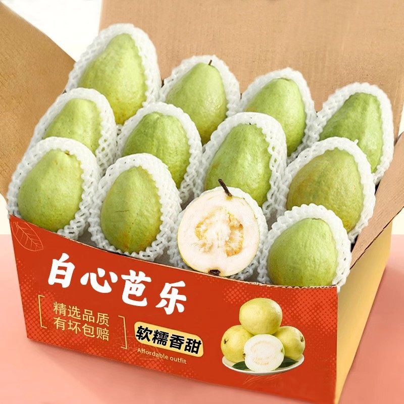 现摘广西软糯奶油芭乐新鲜水果当季软心番石榴鸡屎果白心芭乐包邮