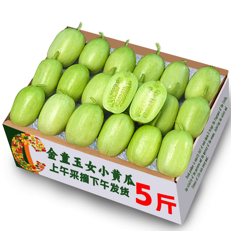 黄瓜新鲜玉女黄瓜水果小黄瓜拇指黄瓜生吃青瓜东北旱白玉黄瓜蔬菜