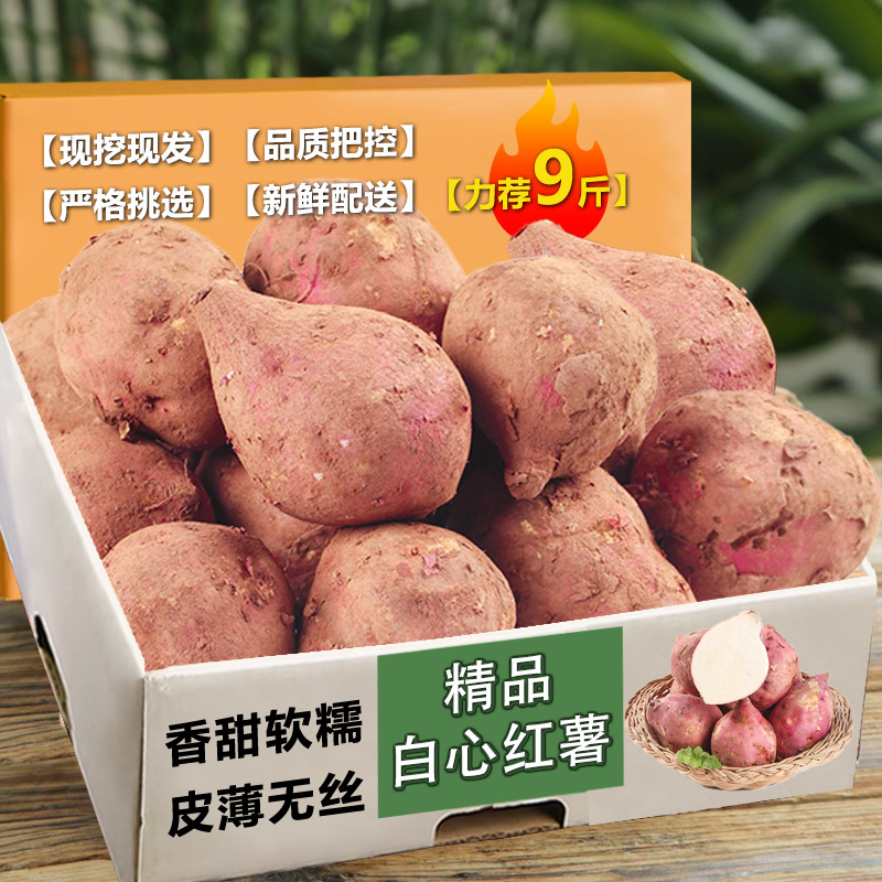 1 С ĺ9ũں4.4Ԫ