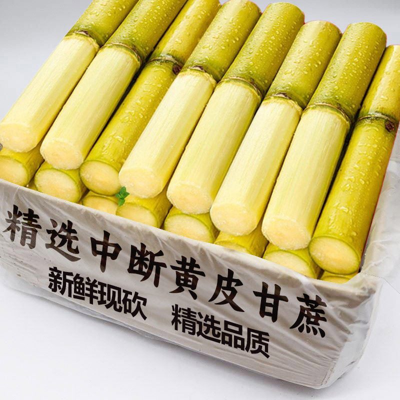 云南黄金甘蔗脆甜黄皮新鲜现砍水果当季非黑皮甘蔗清甜孕妇可吃