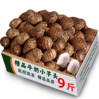 牛奶小芋头精品15颗装，日限一单