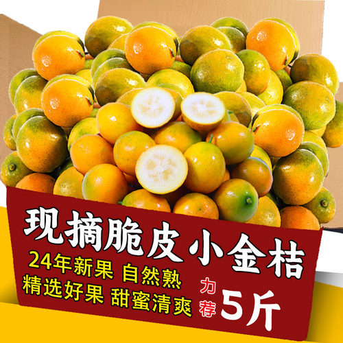 脆皮金桔力荐5斤正宗纯甜金桔