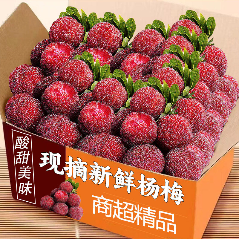 顺丰速发新鲜现摘杨梅鲜果现摘发货新鲜现货孕妇新鲜水果整箱包邮