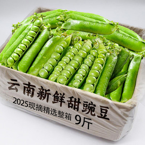 云南新鲜豌豆9斤装应当季青豆带壳生鲜蔬菜甜豌豆粒农家整箱包邮