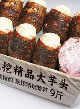 广西荔浦新鲜大芋头9斤农家特产紫藤毛芋头香芋槟榔芋蔬菜包邮10