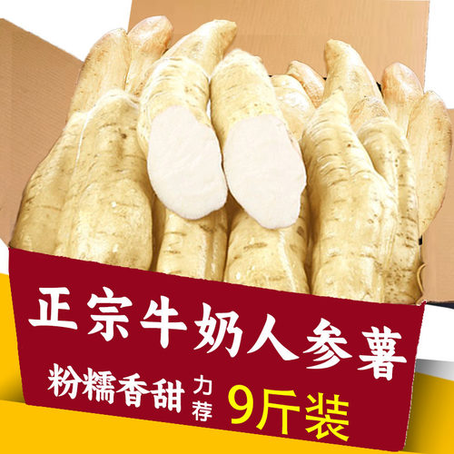 白皮人参薯牛奶白薯新鲜白心板栗薯地瓜现挖山芋超粉番薯现发包邮