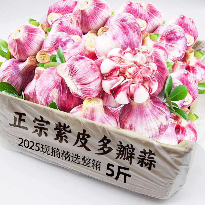 ڲ250g СͷС 2025Ƥ53.7Ԫ