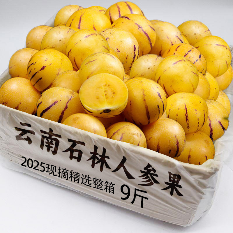 正宗新鲜人参果云南石林树上熟黄肉超大果当季整箱包邮发货人参果