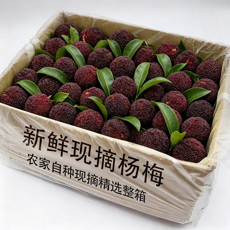 顺丰速发新鲜杨梅鲜果现摘发货新鲜现货孕妇新鲜水果整箱酸甜包邮