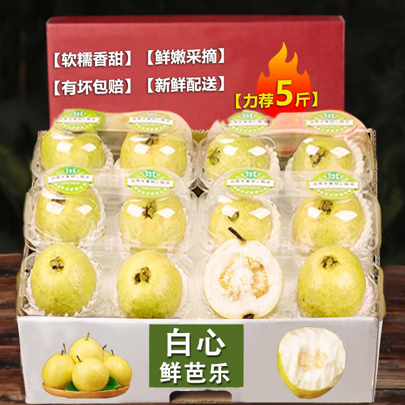 广西软糯软心芭乐水果当季奶油软白番石榴应季新鲜巴乐果新鲜包邮
