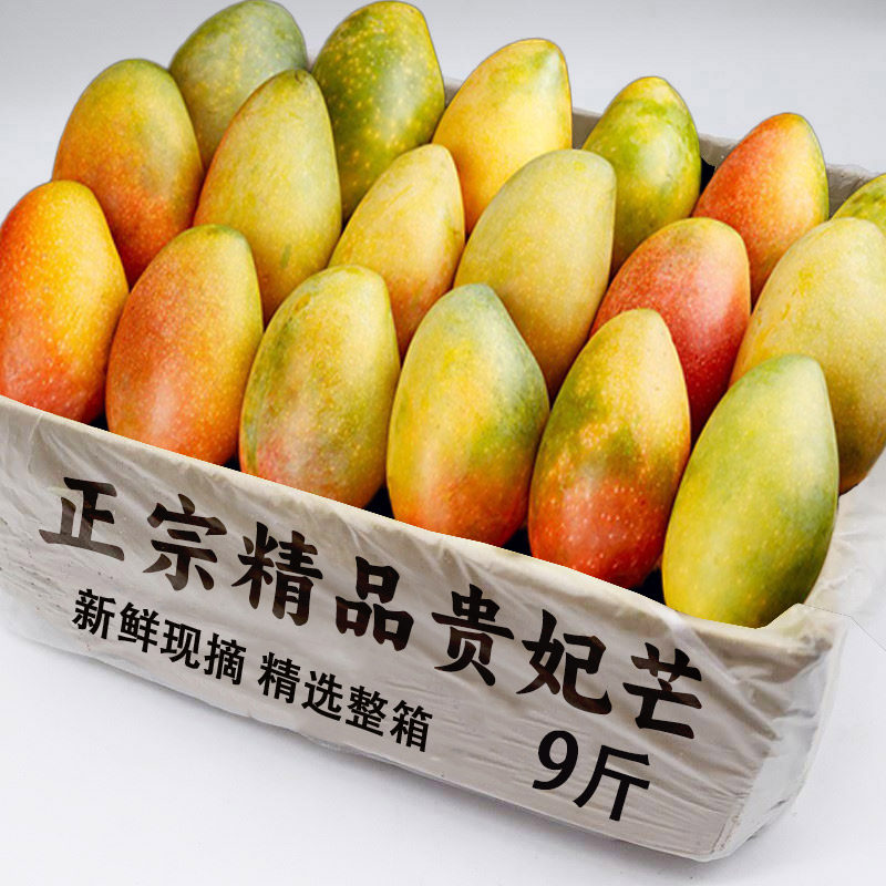 海南贵妃芒芒果新鲜当季水果树上熟9时令斤整箱包邮大青辣椒芒果3