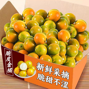 广西脆皮小金桔9斤新鲜桔子应当季现摘水果蜜金柑桔纯甜孕妇整5箱