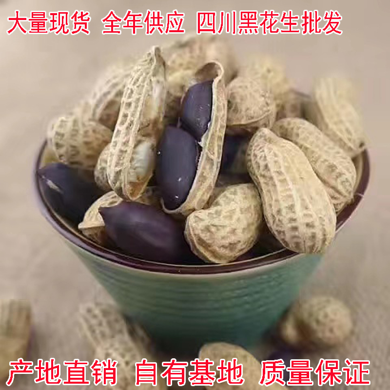 黑花生 四川金堂 新货干黑花生 带壳生黑花生非云南黑皮花生 500g