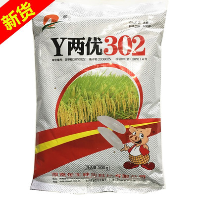 Y两优302 籼型两系杂交水稻种子 一季中稻种子 稻谷种 禾种500克
