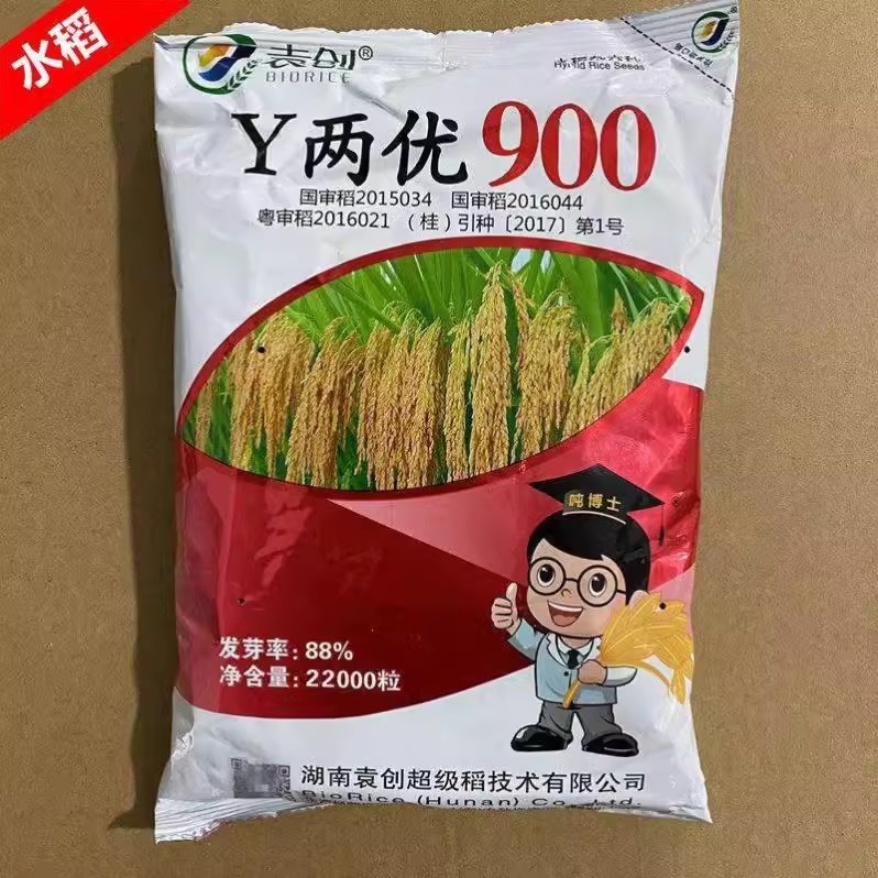 Y两优900y两优900水稻杂交稻谷种子超级稻一季水稻种子高产水稻种-封面