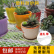 塑料养殖防护网塑料网格胶网塑料平网宠物脚垫阳台垫网防坠安全网