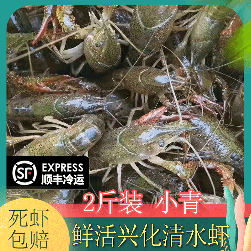 清水虾小青小龙虾鲜活新鲜2斤活体活虾大虾小虾满肉青龙 水产肉类/新鲜蔬果/熟食 活虾 原图主图