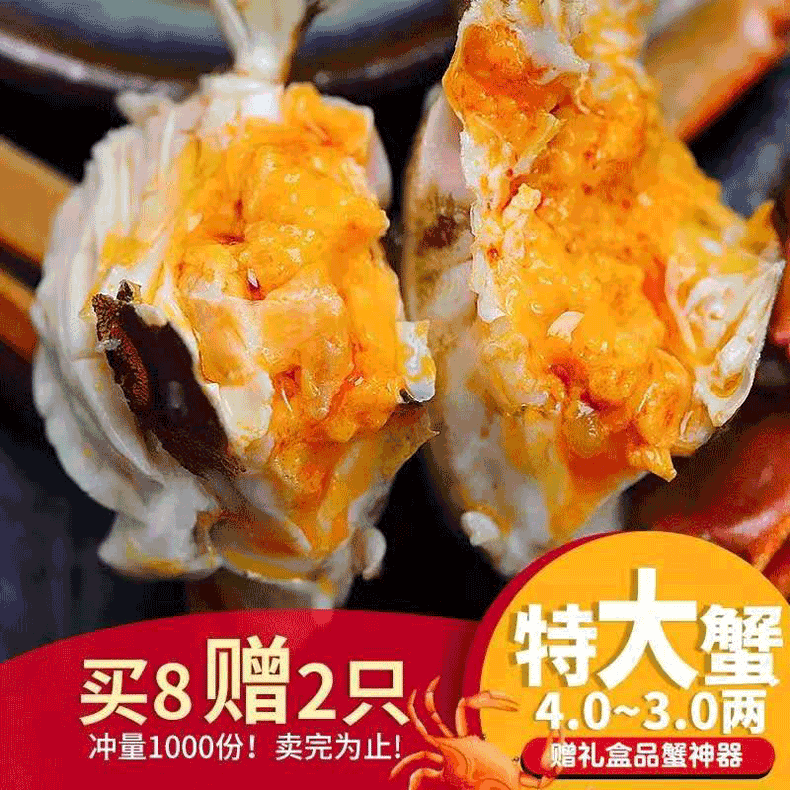 活蟹全母大闸蟹鲜活残蟹