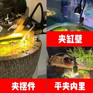 古法养鱼陶瓷盆水缸专用鱼缸夹灯水草补光灯原生溪流变焦南美射灯