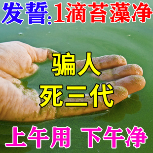 【一次净】鱼缸除藻去苔剂蓝青苔绿藻清除鱼池除褐藻水草除藻神器