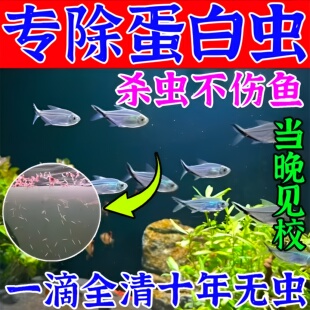 鱼缸除蛋白虫清除剂观赏鱼除寄生虫线虫不伤鱼净水杀菌鱼用敌百虫