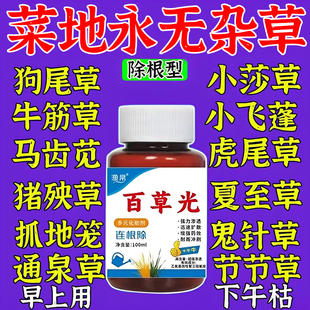 菜地除杂草专用剂不伤苗烂根药通用强力除神器连根烂不长草一扫光