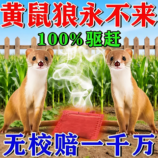 驱黄鼠狼专用药养鸡防黄鼠狼神器养殖场强力气味驱赶吓黄鼠狼克星