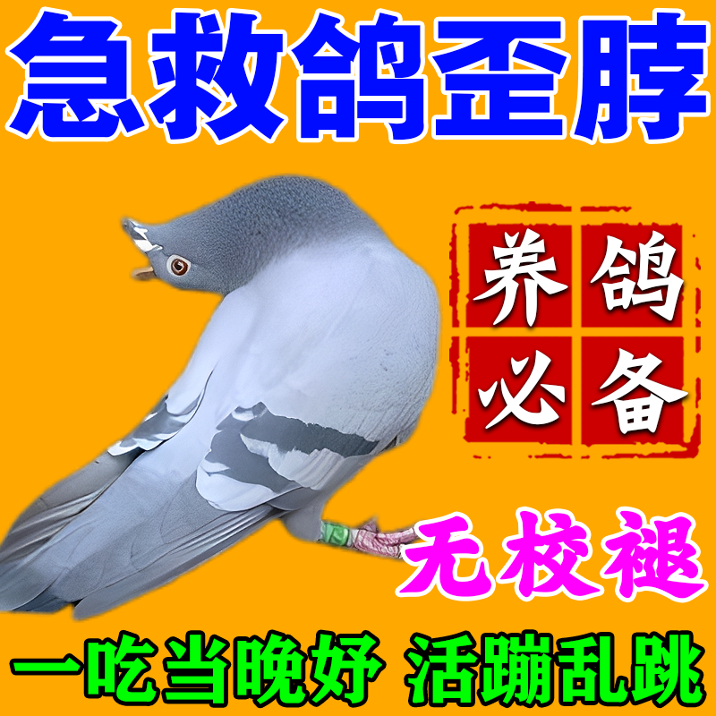 鸽子歪脖子药专用特效扭歪头绿便拉希呼吸道抗病拉肚子新城信鸽Z
