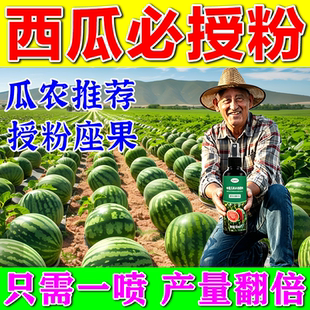 西瓜坐果灵保花保果授粉专用药瓜农人工授粉催化坐果增量增甜正品