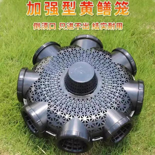八角笼网鱼新款八进孔黄鳝笼专用鳝鱼笼子塑料捕鳝神器泥鳅笼鱼笼