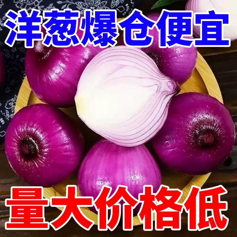 洋葱新鲜紫皮红皮黄皮深紫元葱5斤10斤现挖圆葱头农家批发蔬菜