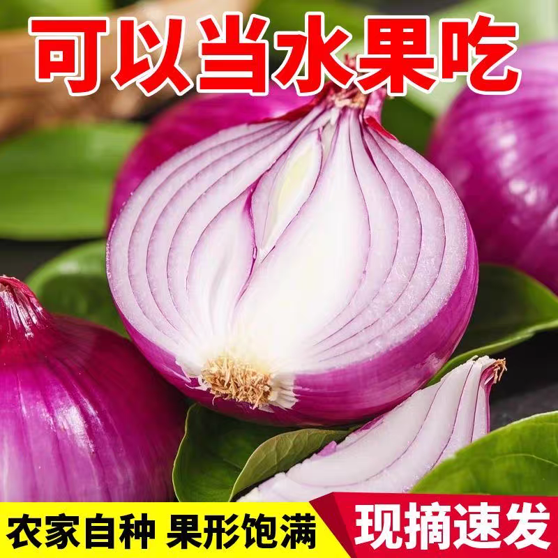 紫皮水果洋葱新鲜洋葱甜味生吃蔬菜红皮大圆葱头特产农家现发