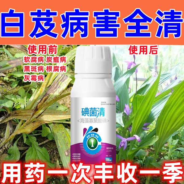 白芨锈病杀菌剂白芨锈病杀菌药农药锈病药炭疽病灰斑病蔓枯病