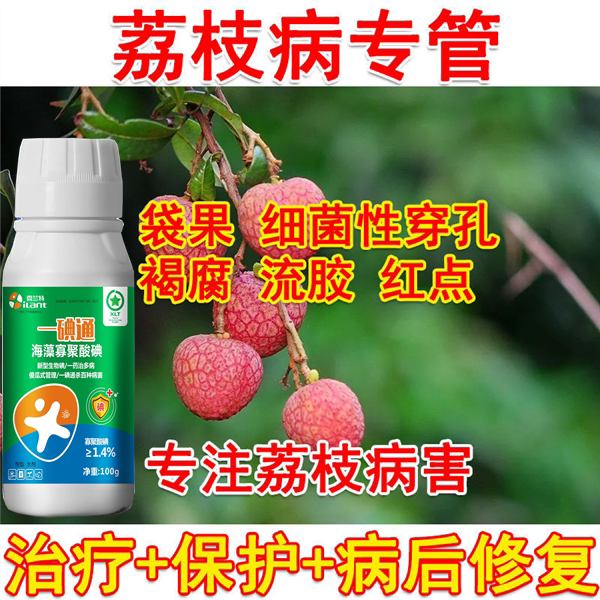 荔枝龙眼病全治荔枝杀菌剂龙眼杀菌微生物菌剂霜疫霉病炭蛆病叶斑