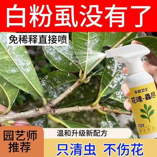 白粉虱专用杀虫剂花卉植物小白飞蔬菜蚜虫腻虫白粉虱专用虫卵双杀