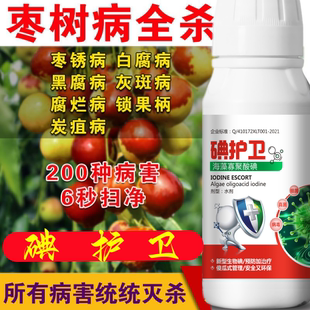 枣疯病枣树病杀菌枣绣病白腐病黑腐病灰斑病腐烂病锁果病炭疽病药