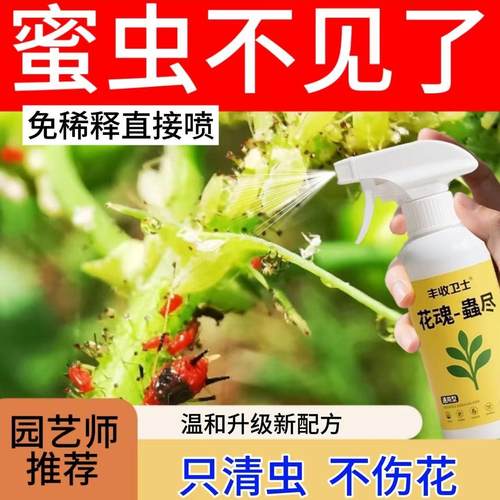 蜜治虫杀虫剂药去除打蜜