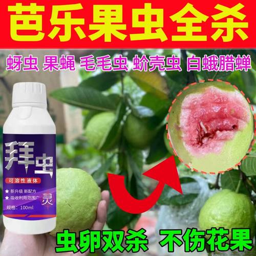 番石榴杀虫剂虫害全杀生