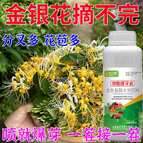 金银花专用花芽分化素强效催芽促花打破休眠促进侧芽生长有机肥