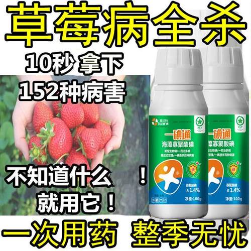 草莓病全治专用药草莓炭疽病根腐病草莓斑点病草莓病杀菌剂病套餐